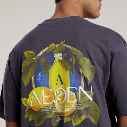 Aeden Aeden T-Shirt Ezion SS26 Dark Shadow