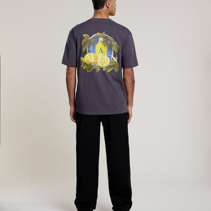 Aeden Aeden T-Shirt Ezion SS26 Dark Shadow