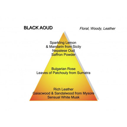 Montale Paris Montale Paris Parfum Black Aoud Eau de Parfum