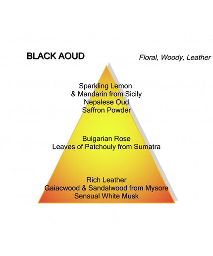 Montale Paris Montale Paris Parfum Black Aoud Eau de Parfum