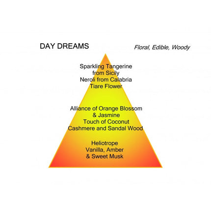 Montale Paris Montale Paris Parfum Day Dreams Eau de Parfum