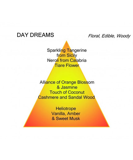 Montale Paris Montale Paris Parfum Day Dreams Eau de Parfum