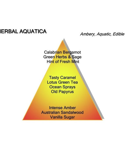 Montale Paris Montale Paris Parfum Herbal Aquatica Eau de Parfum