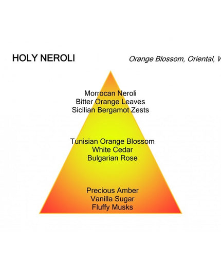 Montale Paris Montale Paris Parfum Holy Neroli Eau de Parfum