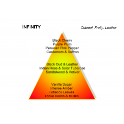 Montale Paris Montale Paris Parfum Infinity Eau de Parfum