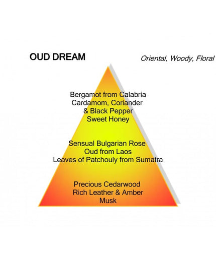 Montale Paris Montale Paris Parfum Oud Dream Eau de Parfum