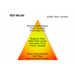 Montale Paris Montale Paris Parfum Rendez-vous à Milan Eau de Parfum